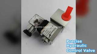 Wandfluh M2203-G24-C Valf: Hassas Hidrolik Kontrol