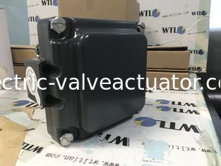 İyi bir fiyat. TVH-E20GNPM TOPWORX Emerson Vana Monitörü Sert Kaplamalı Eloksallı Alüminyum veya 316 Paslanmaz Çelik çevrimiçi