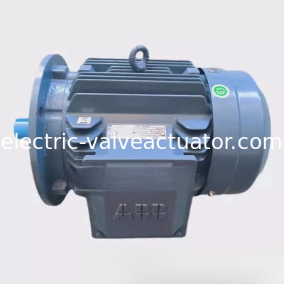 İyi bir fiyat. M2QA200LB6 22KW 6 kutuplu Üç fazlı Asinkron Motor IC411 Kendini Soğutma çevrimiçi