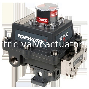İyi bir fiyat. Orijinal Emerson TOPWORX Go Anahtar Yakınlık Mekanik 4-20mA İletici DXP-L21GNEB çevrimiçi