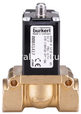 İyi bir fiyat. Burkert Tipi 0400 Servo Kontrollü Otomatik İşlemleri için 2/2 Yolu Piston Valfi çevrimiçi